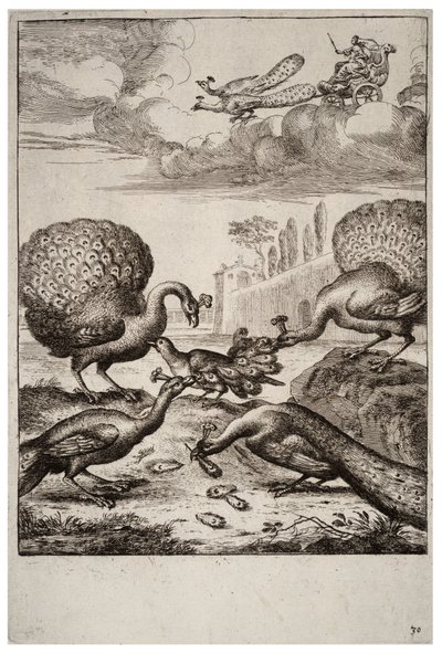 The Jay and the Peacocks by Wenceslaus Hollar